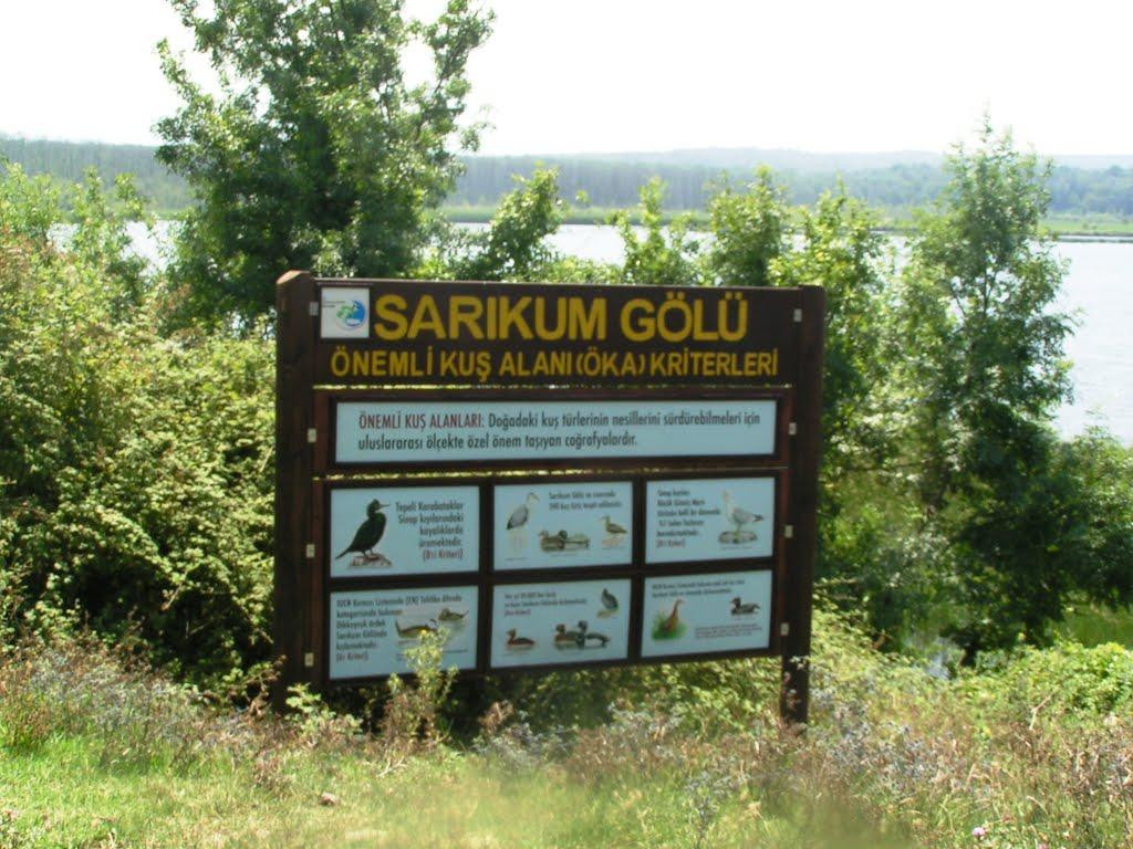 Sarikum Golu Tabiati Koruma Alani景点图片