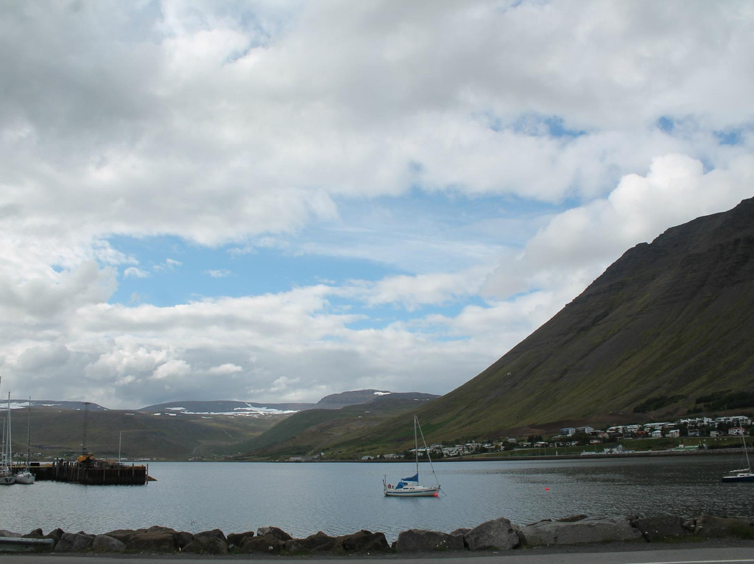 Westfjords Tourist Information景点图片