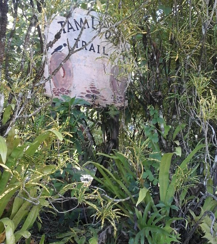 Tamilyog Trail景点图片