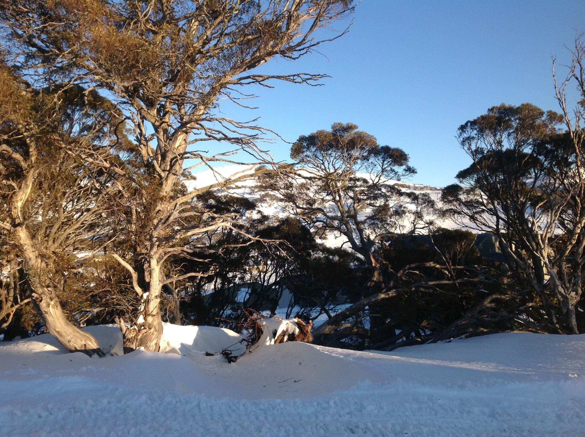 Barina Milpara Lodge-官方