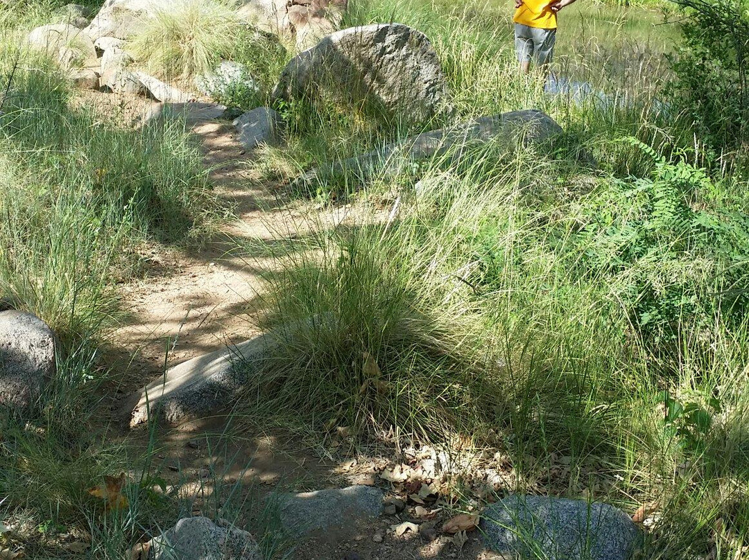 Water Wheel Falls-Payson必去景点