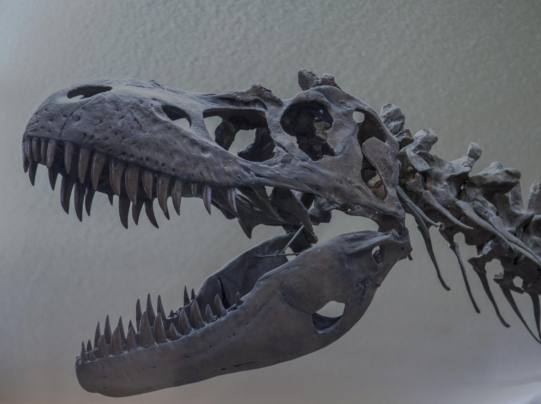 Phillips County Museum-Malta必去景点