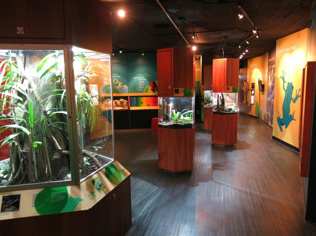 Punta Culebra Nature Center景点图片