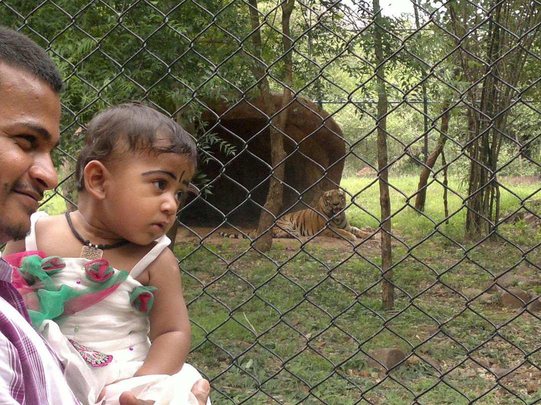 Sri Venkateswara Wildlife Sanctuary景点图片