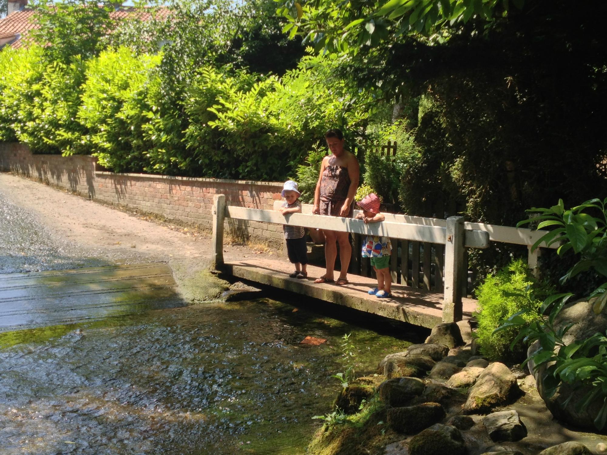 Royal Oak Inn-The Splash-客卧