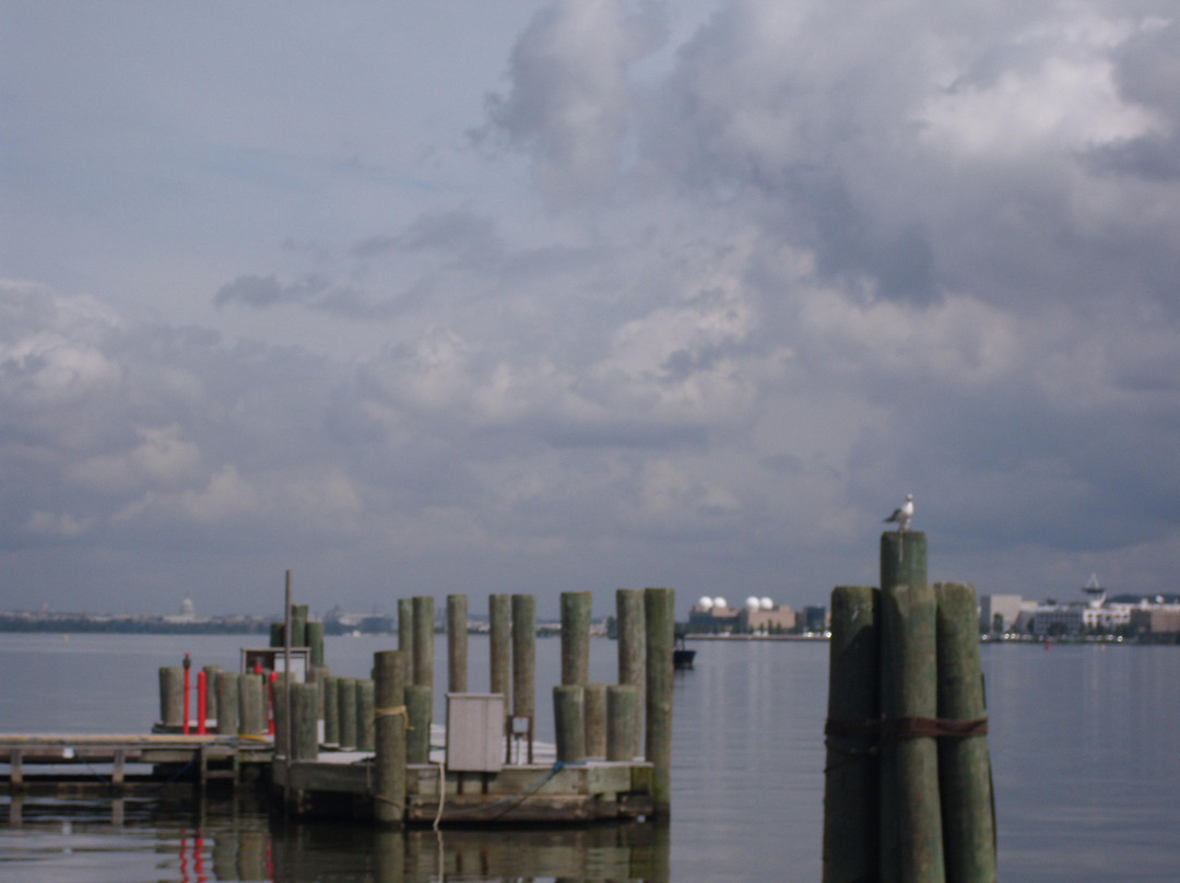King Street Trolley-亚历山德里亚必去景点