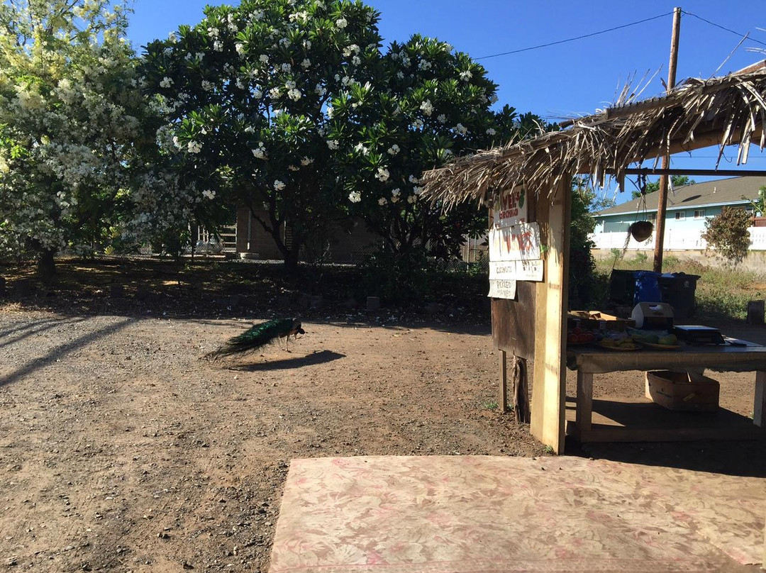 Yee's Orchard & Fruit Stand-基黑必去景点