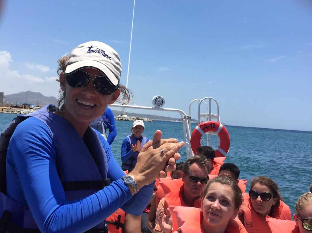 Cabo Adventures-卡波圣卢卡斯必去景点