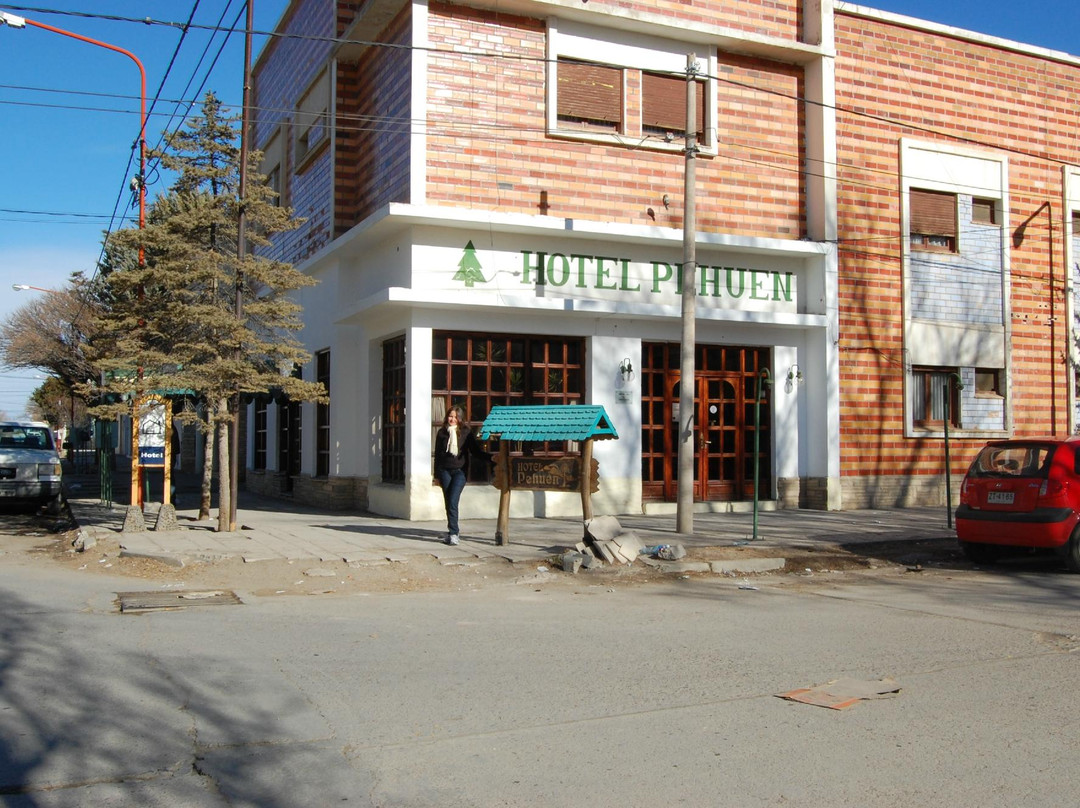 Hotel Pehuen