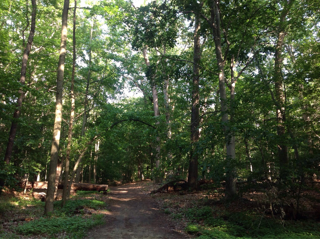 Rancocas State Park景点图片