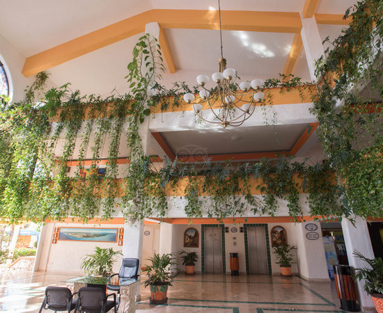 Cozumel Hotel & Resort