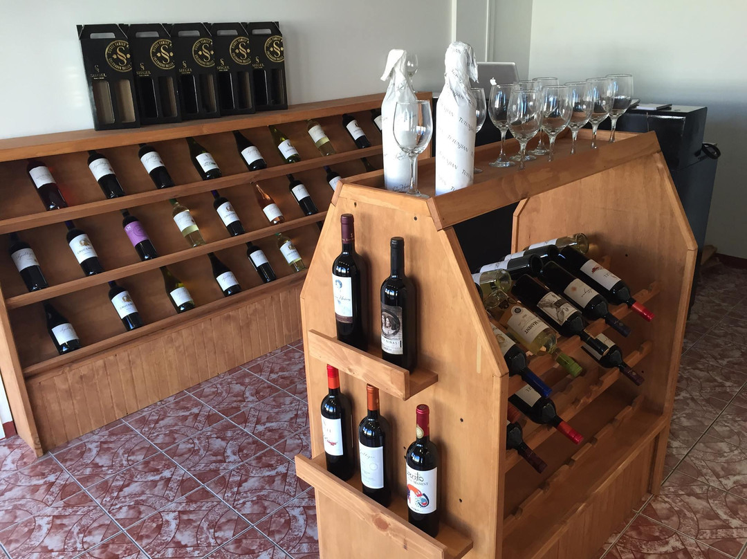 Los Hornos旅游景点-The Wine