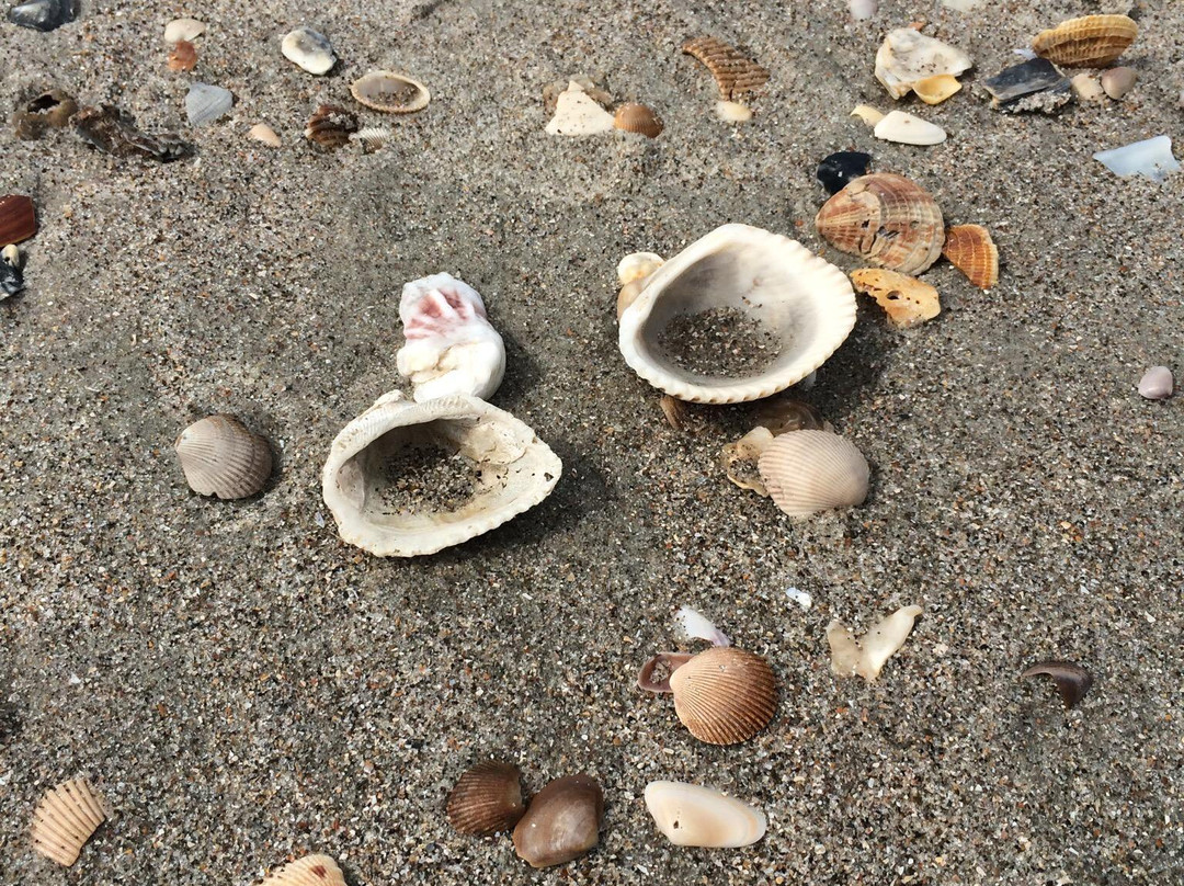 Holden Beach景点图片