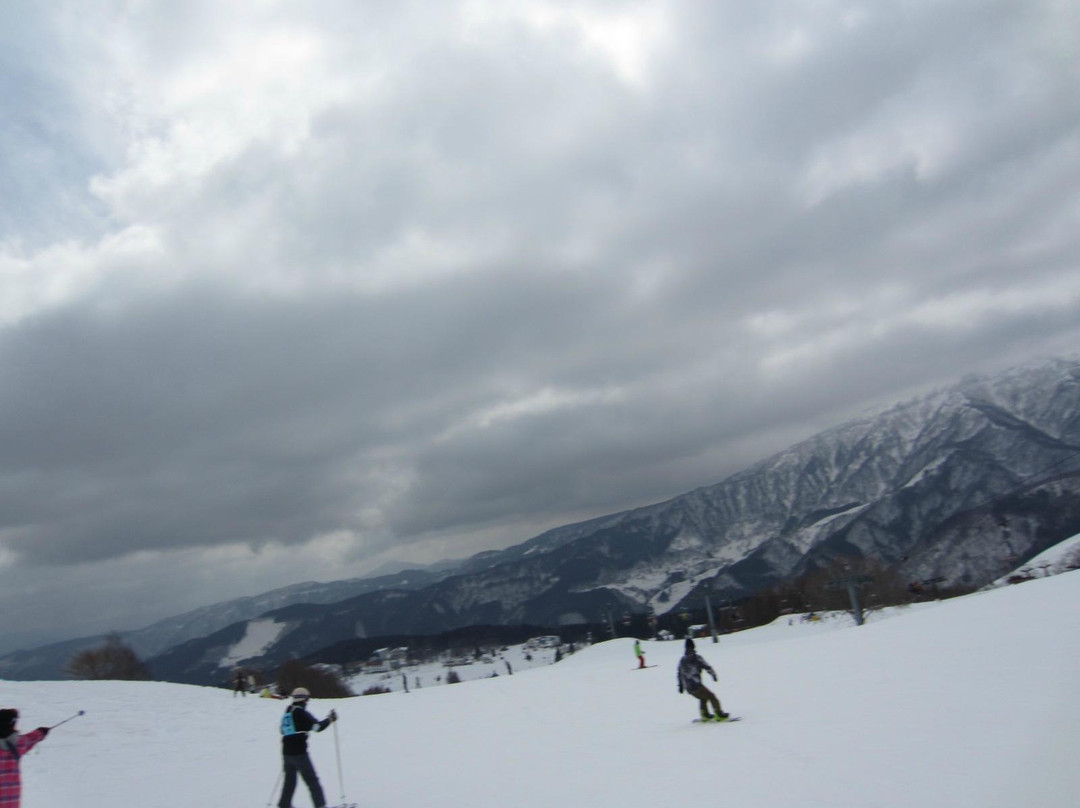 Hachi Highlands-养父市必去景点