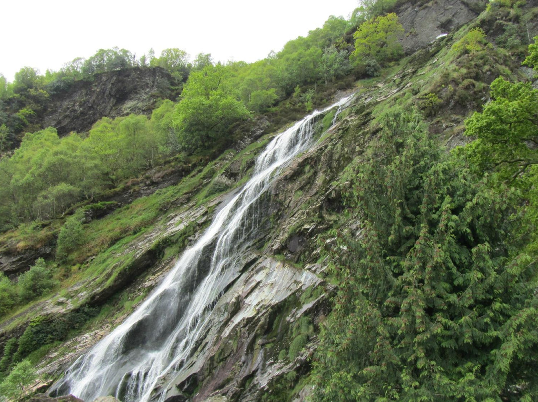 Avoca Wicklow Day Tour-都柏林必去景点