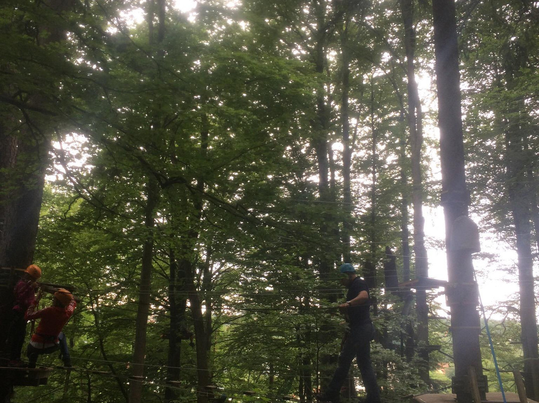 Leech Forest (Leechwald)-格拉茨城必去景点