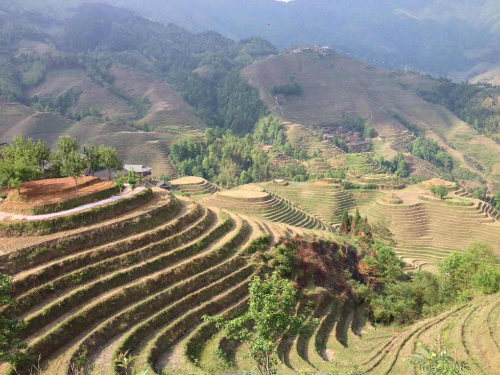 龙胜金坑大寨国际青年旅舍-酒店景观