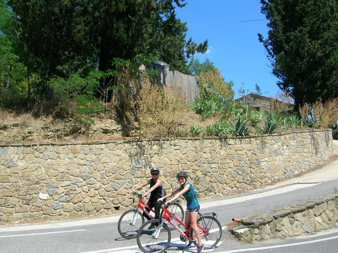Cycling in Florence景点图片