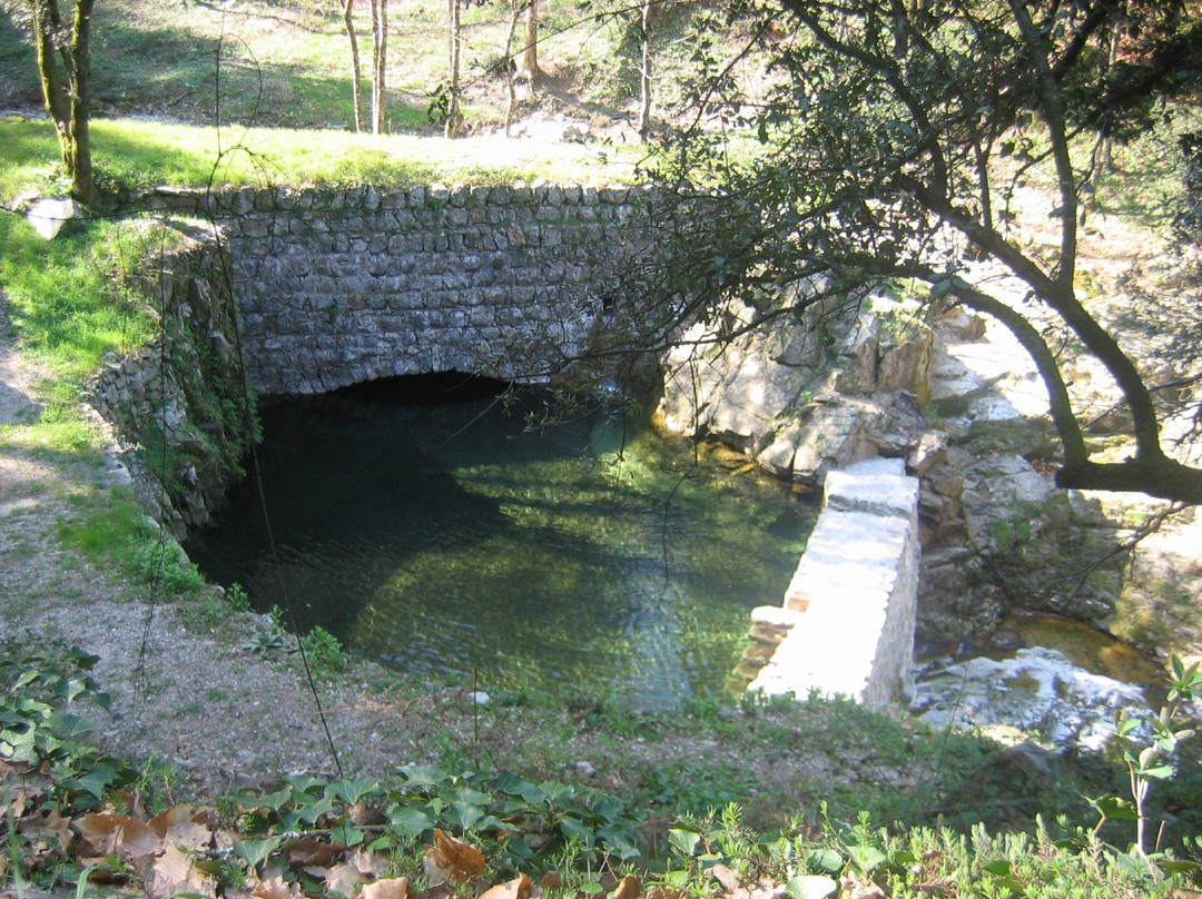 Office de Tourisme Mont Aigoual Causses Cévennes景点图片