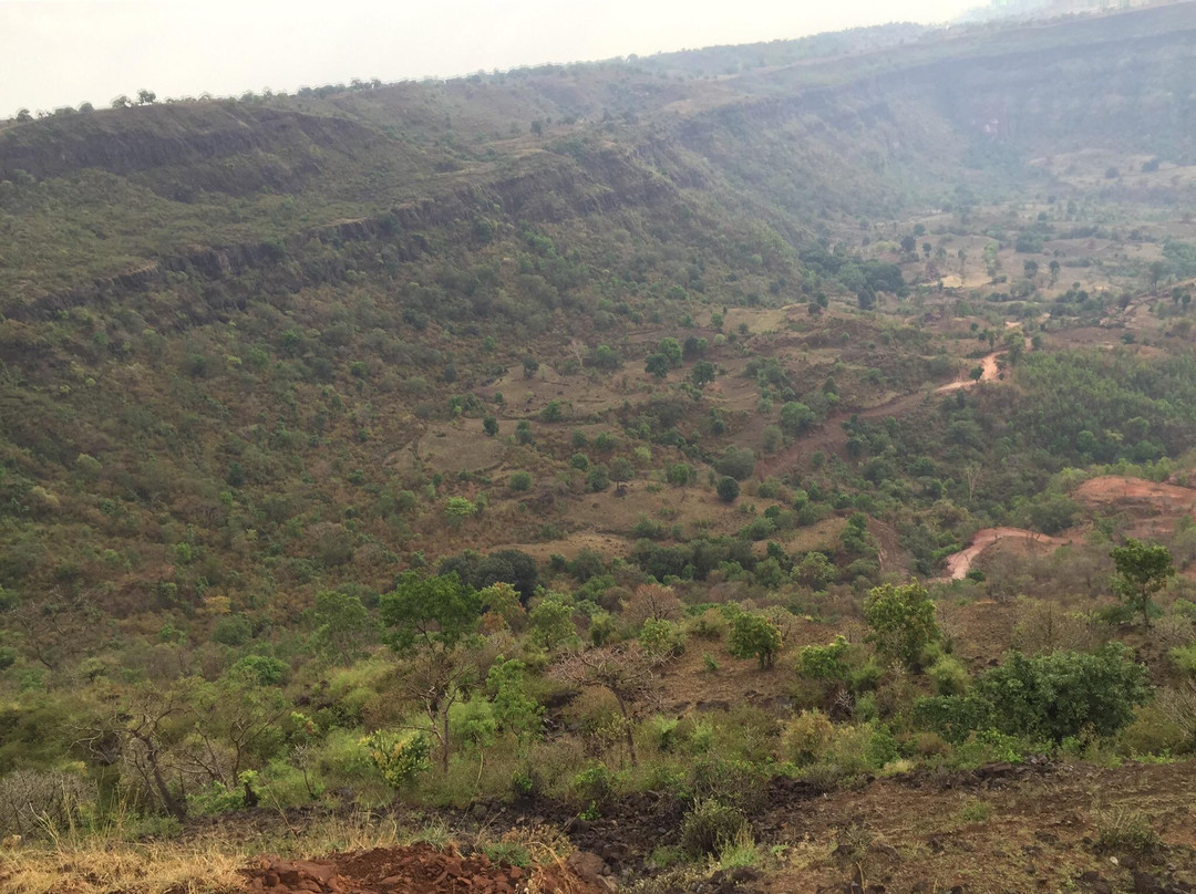 Patalkot Valley景点图片