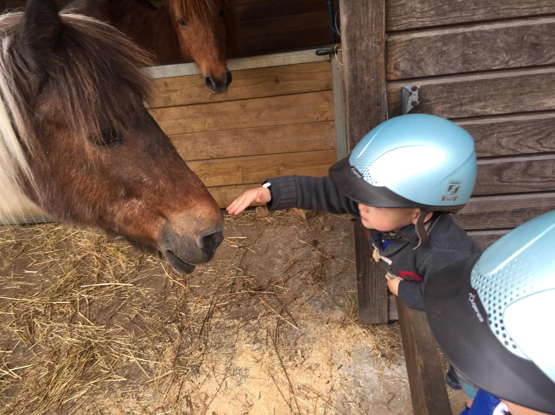 Centre Equestre de la Prade-Messanges必去景点