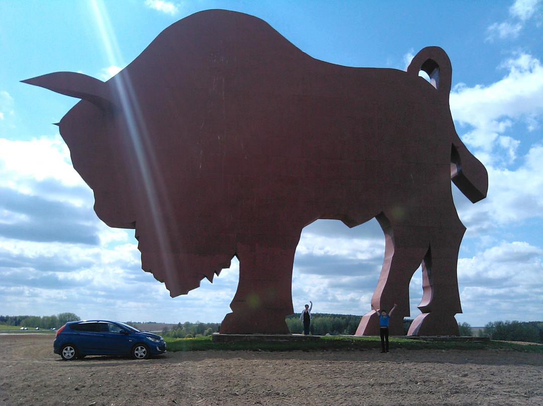 Bison on Route Brest - Minsk-布雷斯特必去景点