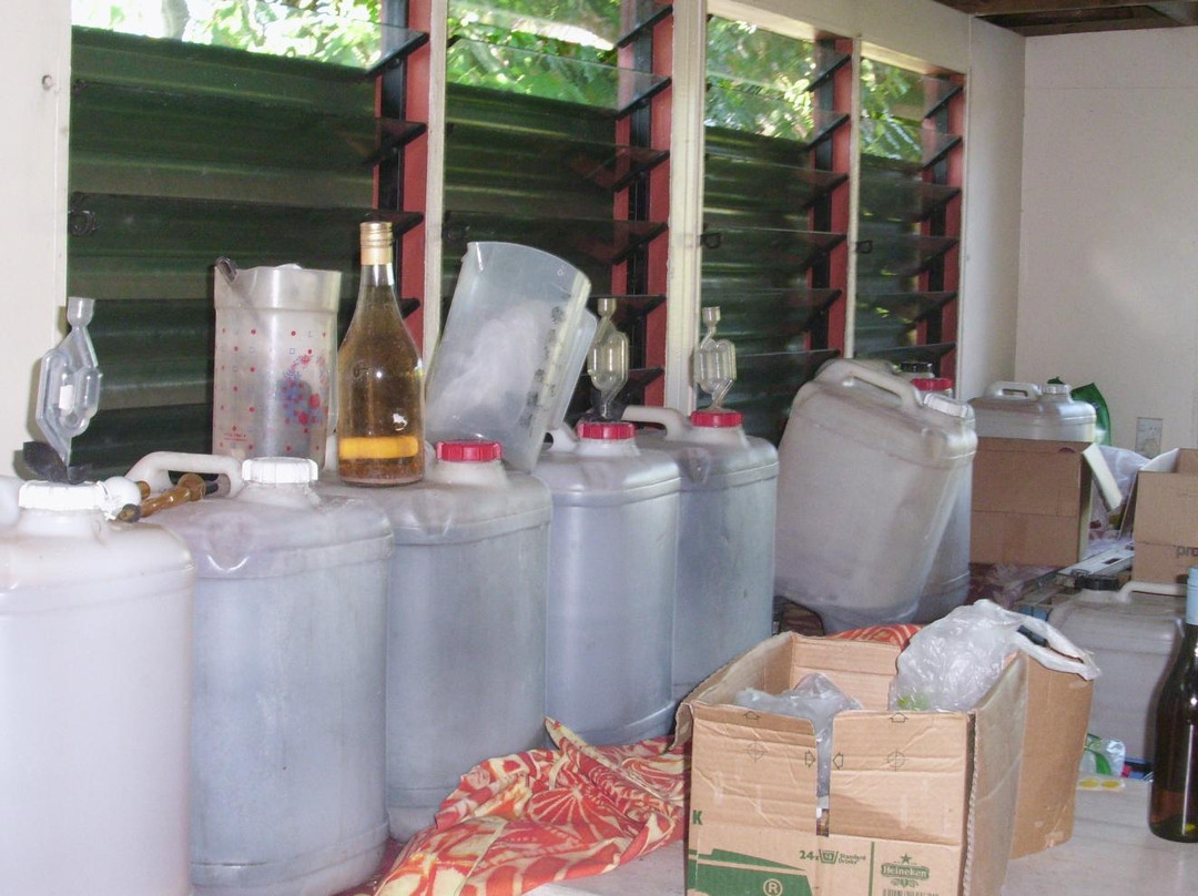 Koteka Winery-穆里必去景点