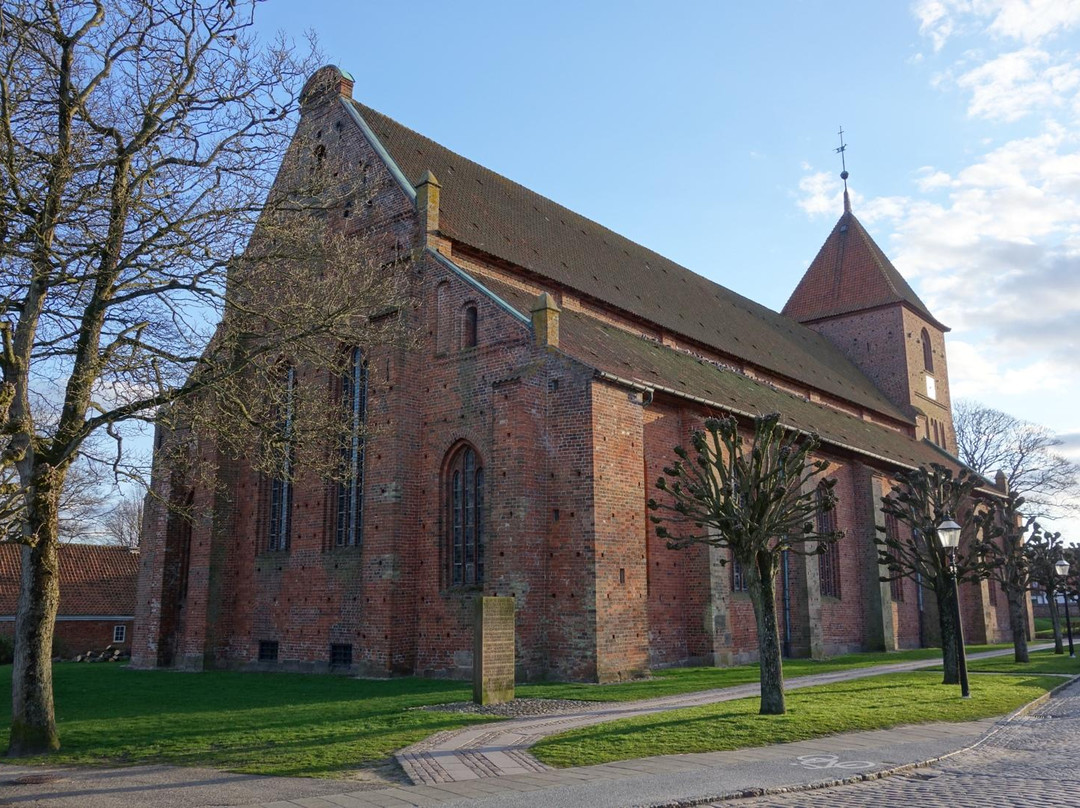 Sct. Catharinae Kirke Og Kloster景点图片