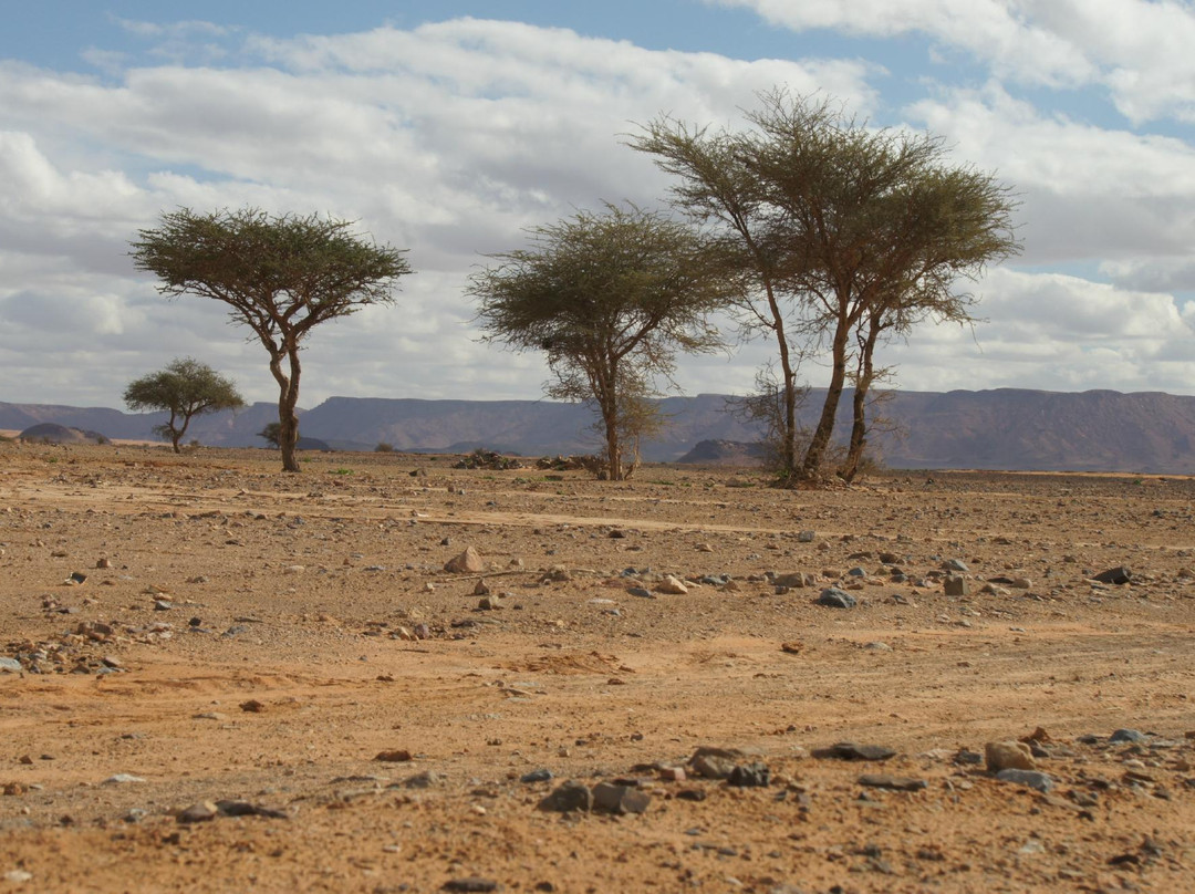 Viajar a Marruecos Day Tours