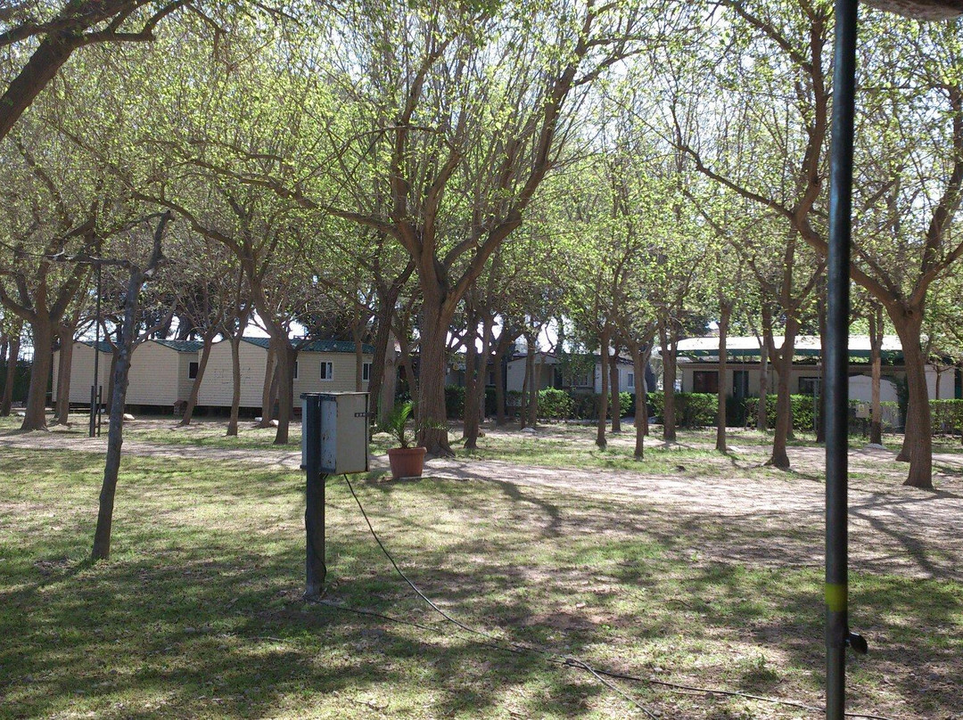 Camping y Bungalows Barraquetes