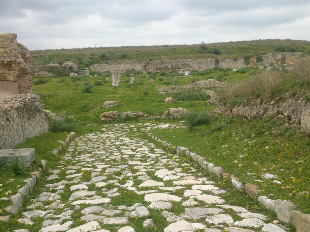 SCAVI ARCHEOLOGICI DI HERDONIA (ORDONA), FOGGIA, PUGLIA, ITALY景点图片