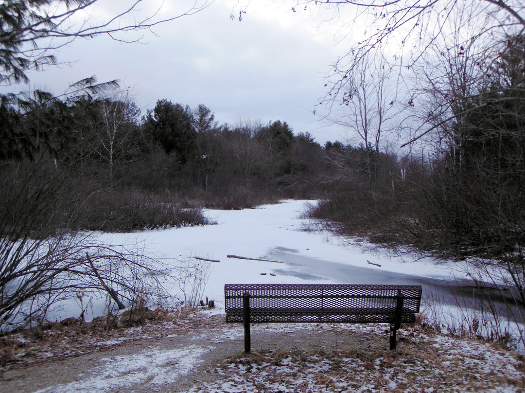 William Mitchell State Park-Cadillac必去景点