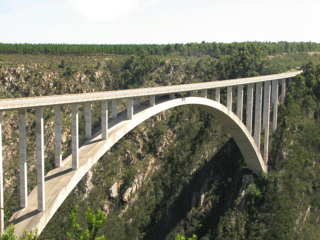 Bloukrans Bungy - Face Adrenalin-Tsitsikamma National Park必去景点