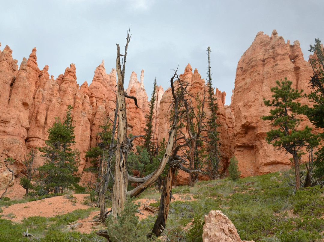Zion National Park Rides-特罗皮克必去景点