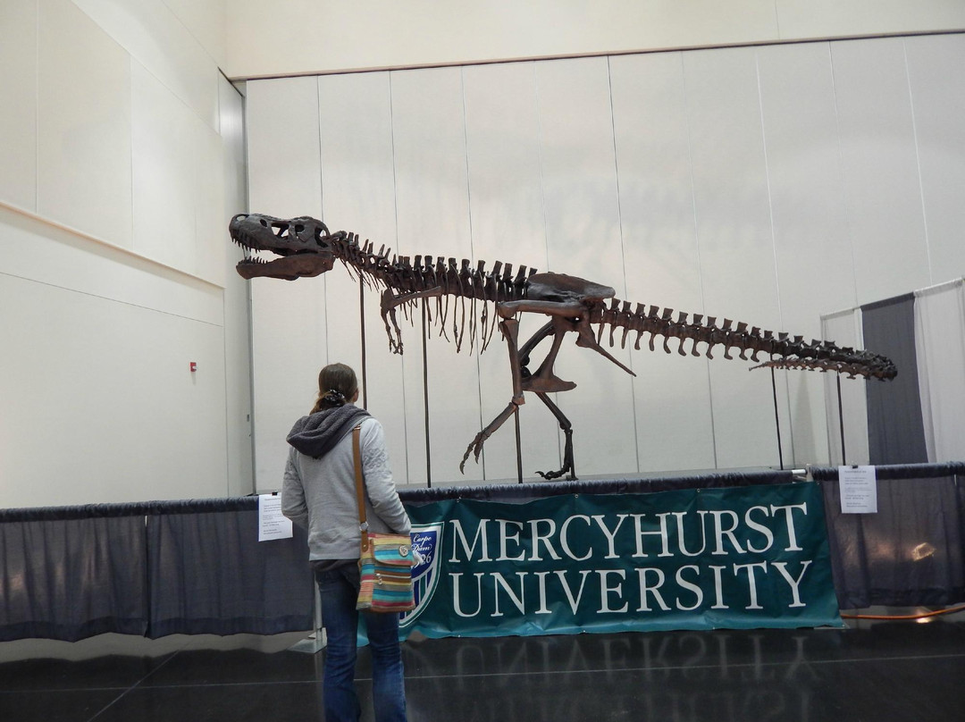 Erie Bayfront Convention Center-伊利必去景点