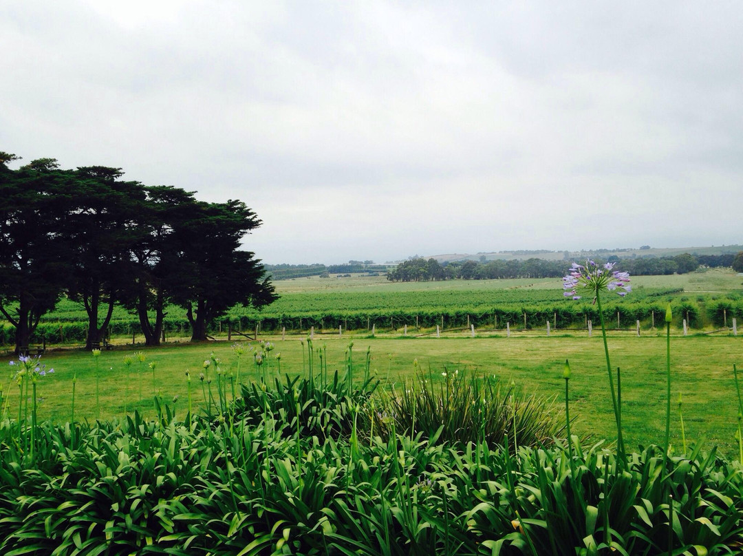 Yering Farm Wines-优伶必去景点