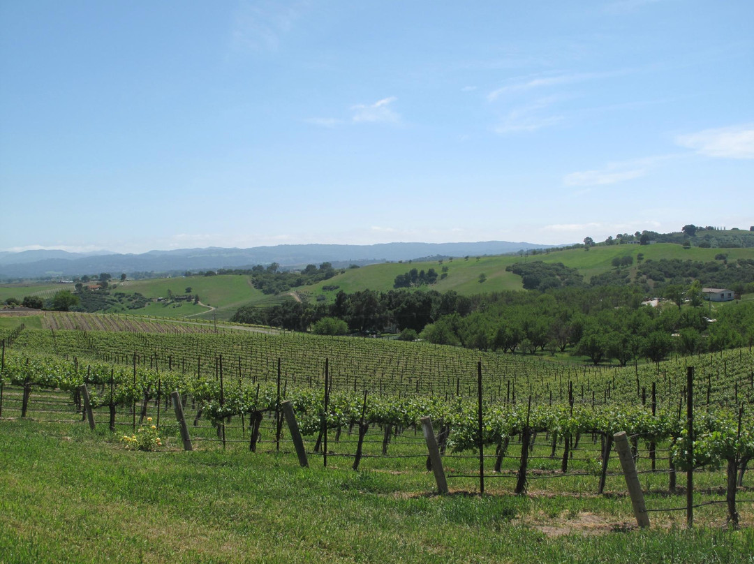 Ecluse Wines景点图片
