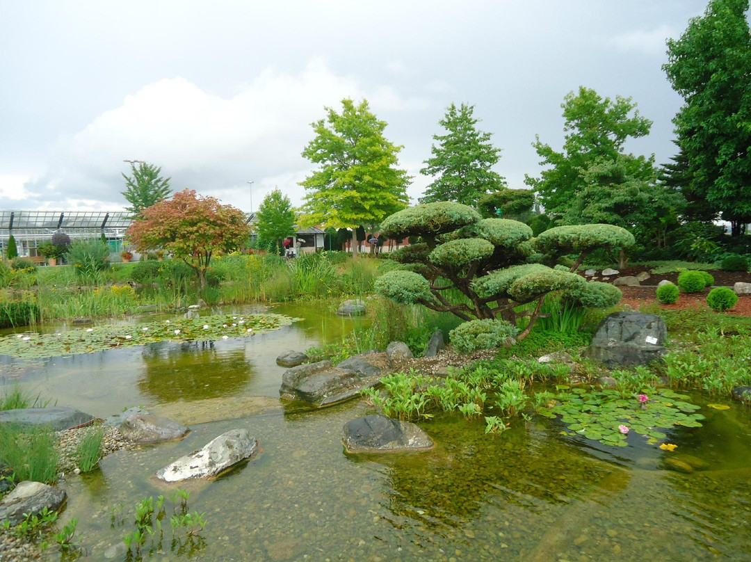 Dehner Flower Park景点图片