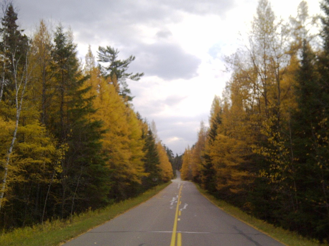 Wilderness Drive-Lake Itasca必去景点