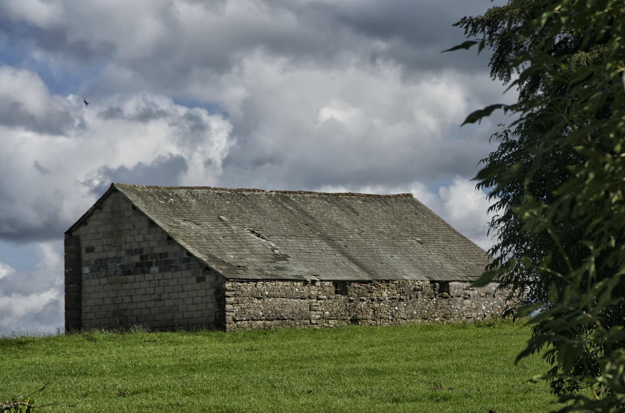 The Barn House-酒店景观