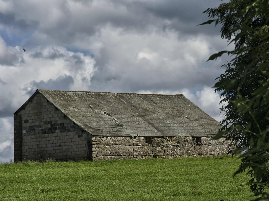 The Barn House主图
