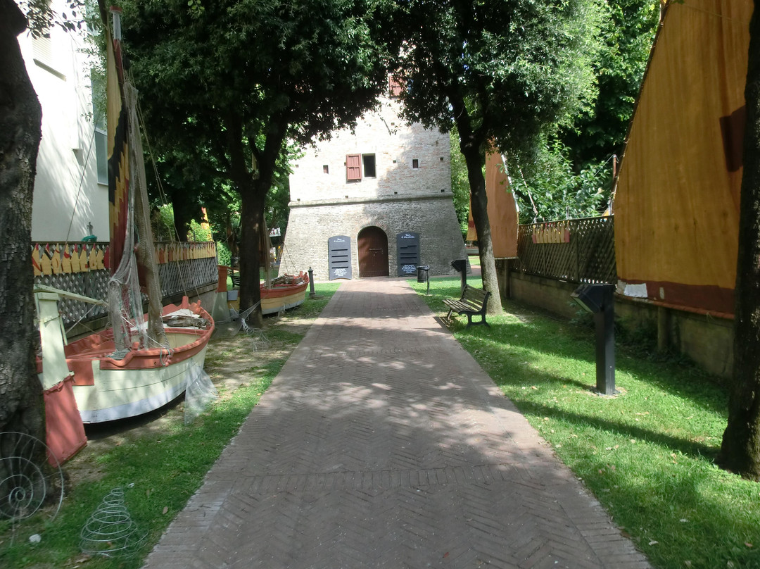 Museo delle Conchiglie景点图片