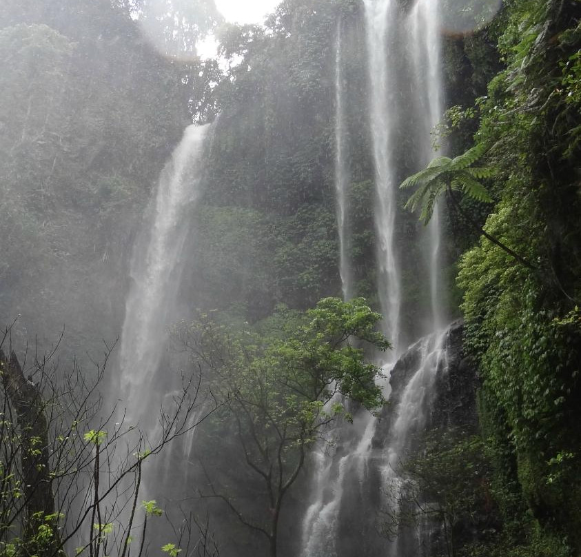 Reiseleiter Sugita-登巴萨必去景点