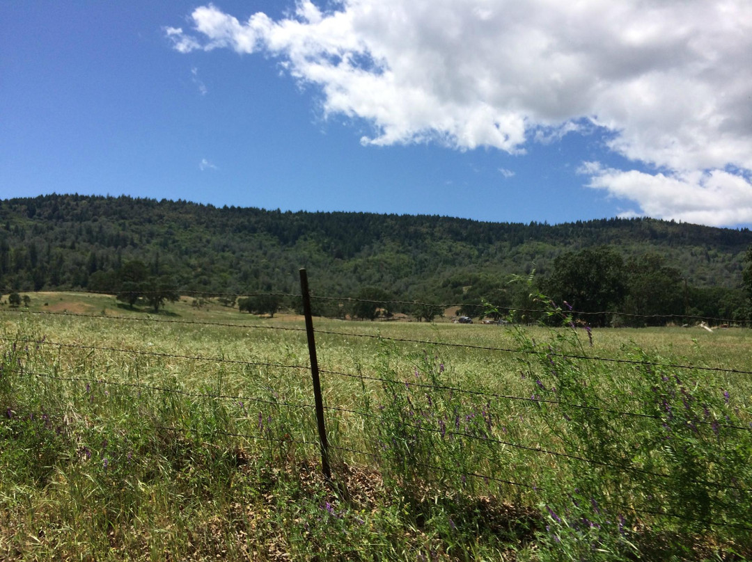 Pope Valley Winery-Pope Valley必去景点