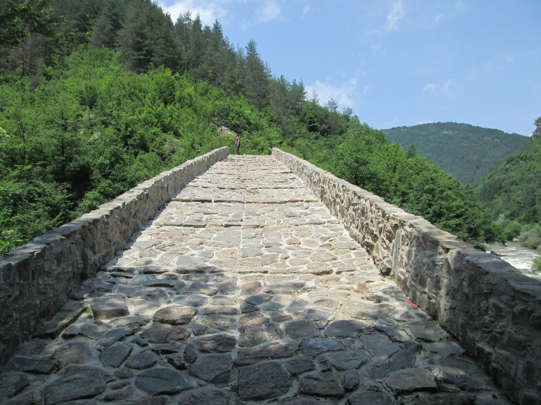 Devils Bridge (Dyavolski Most)-斯莫梁必去景点