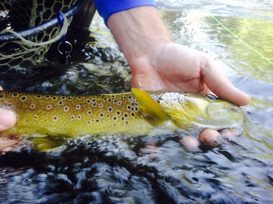 Gore Creek Fly Fishing-韦尔必去景点