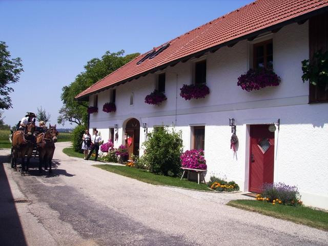 Sankt Marienkirchen an der Polsenz旅游攻略图片