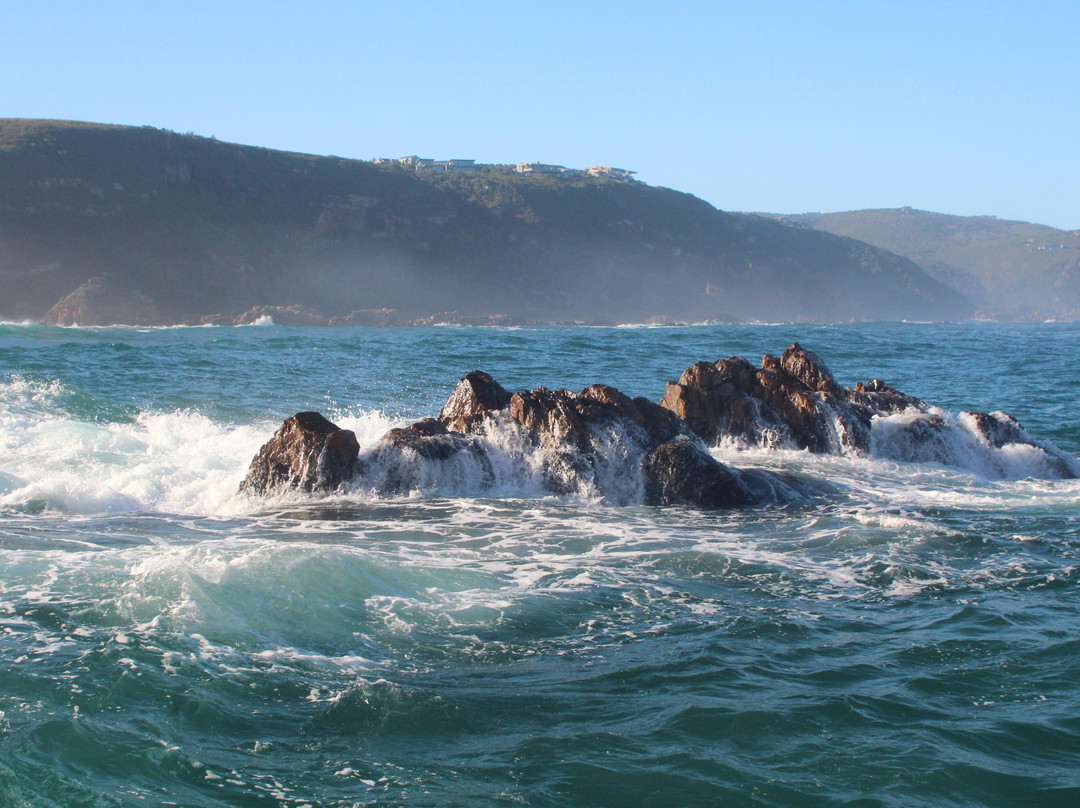 Knysna Adventures-克尼斯纳必去景点