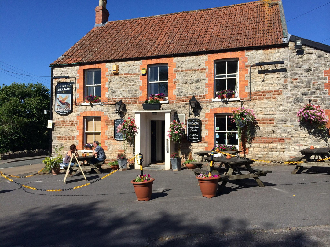 Westbury-sub-Mendip餐馆和美食-The Pheasant