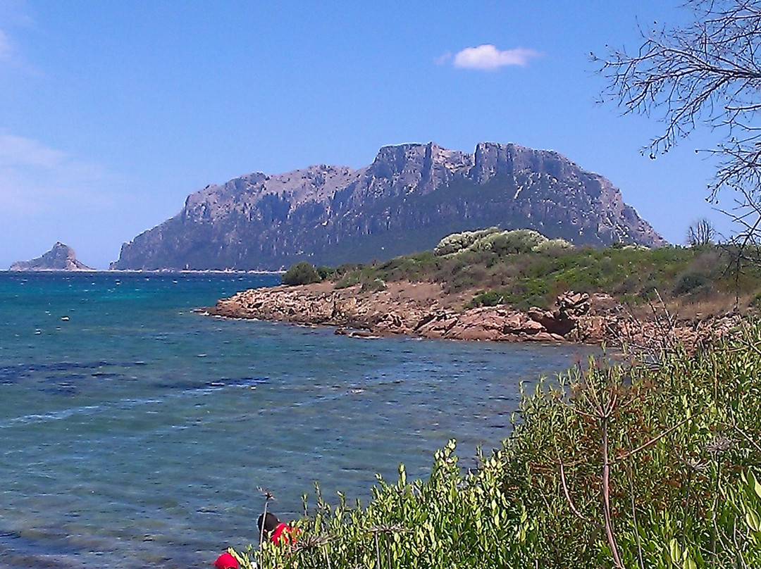 Porto Istana Beach-奥尔比亚必去景点